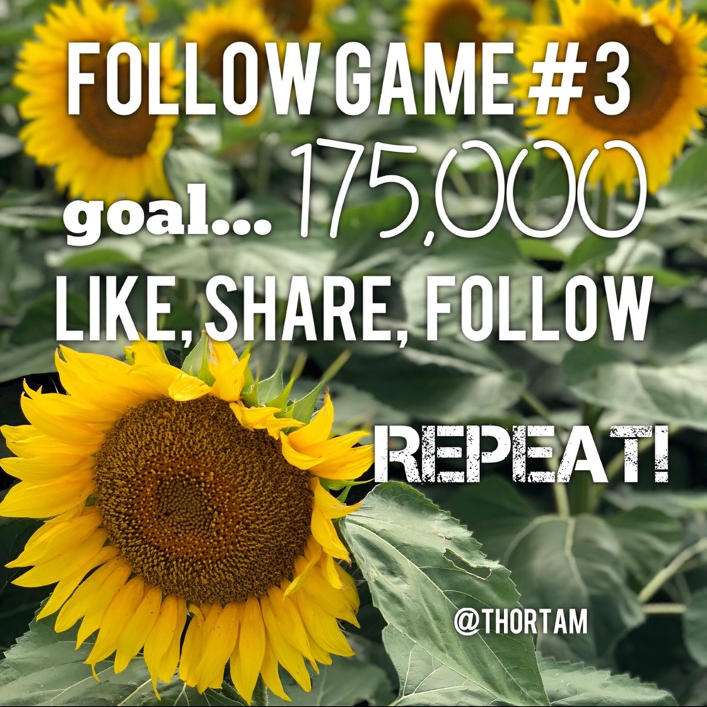 Let’s keep growing together! - Picture 4 of 6